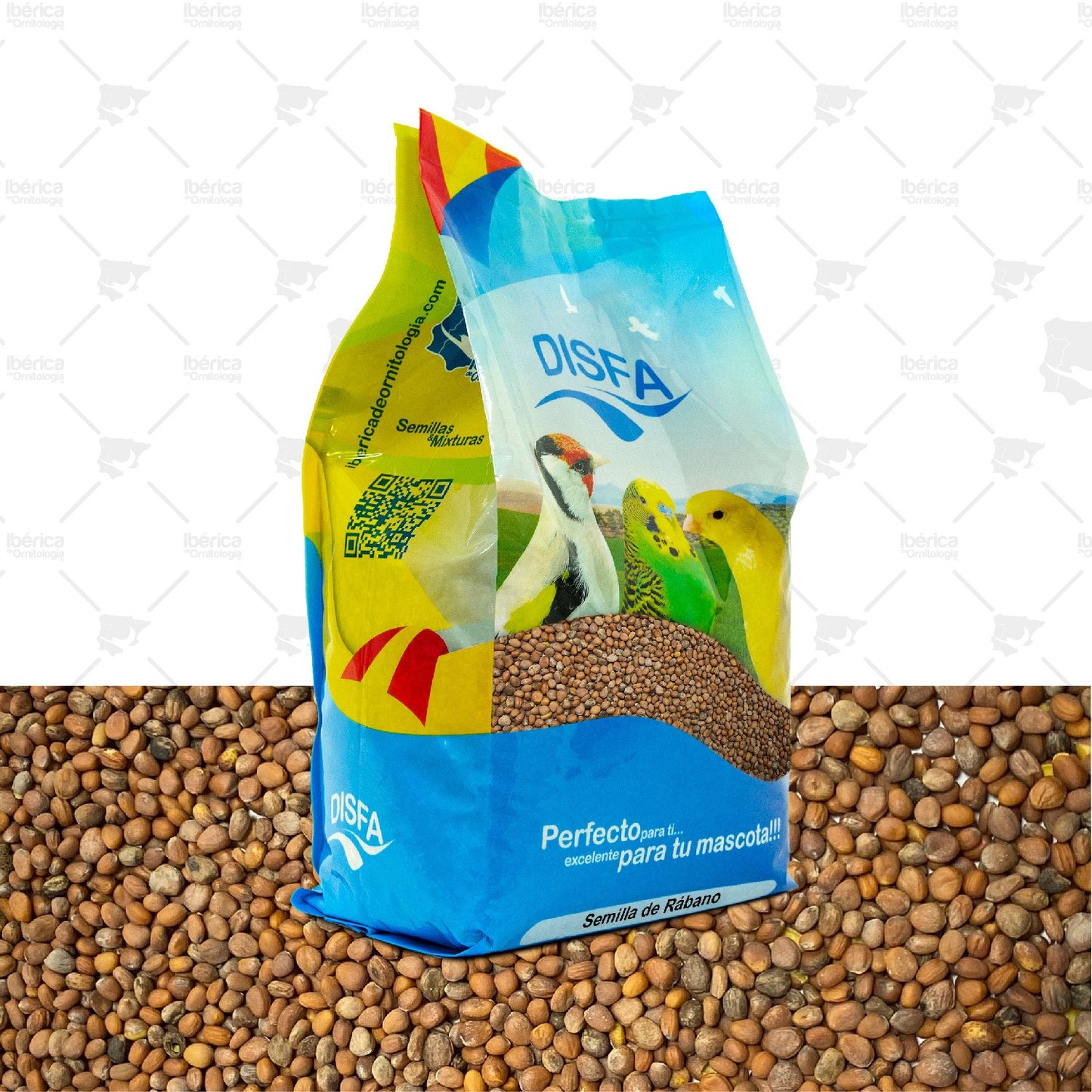 Semilla de Rábano (Disfa), alimento de gran contenido en nutrientes, vitaminas y minerales ibericadeornitologia