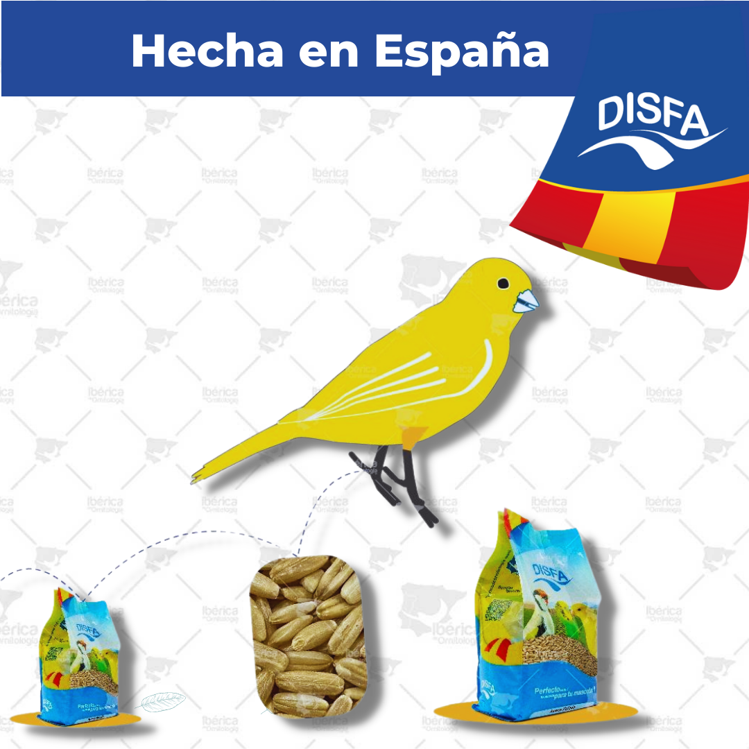 Avena pelada para pájaros (Disfa) , cereal complementario para aves rica en carbohidratos y grasas para mejora del plumaje y reproducción ibericadeornitologia