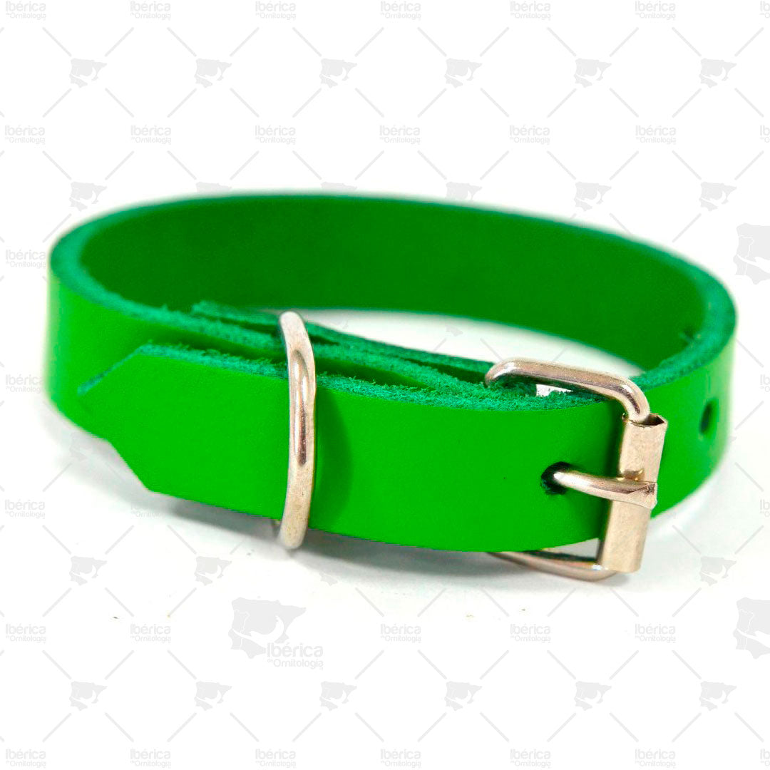 Collar para perros mini en piel con hebilla Nro 25 (16 mm). ibericadeornitologia