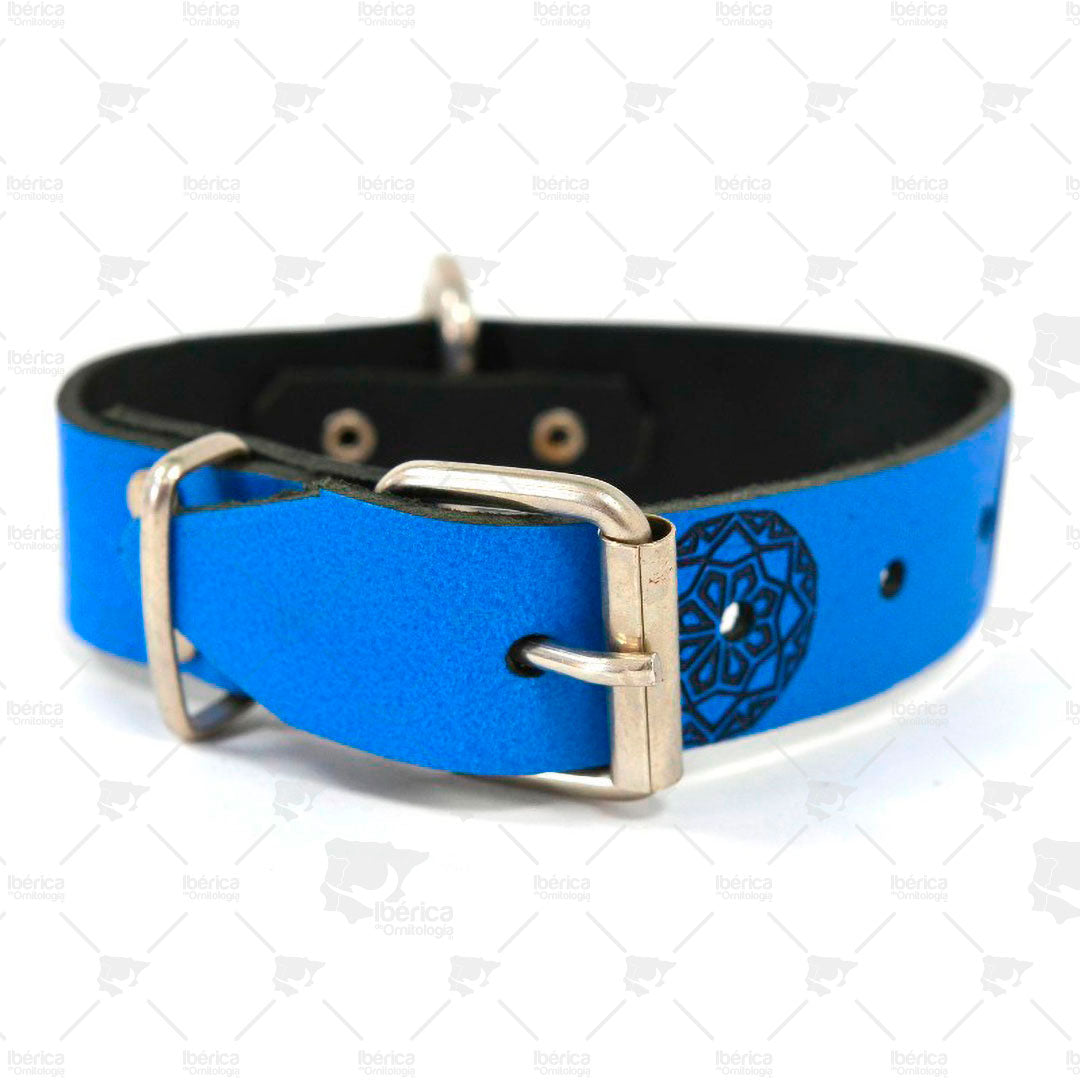 Collar para perros mediano en piel con hebilla Nro 34 (30 mm). ibericadeornitologia