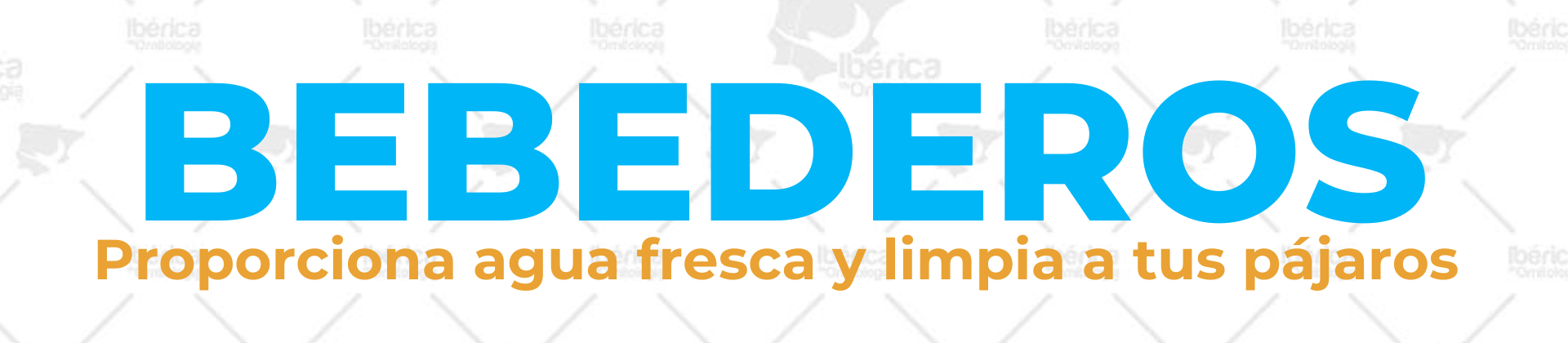 bebederos para pájaros y aves