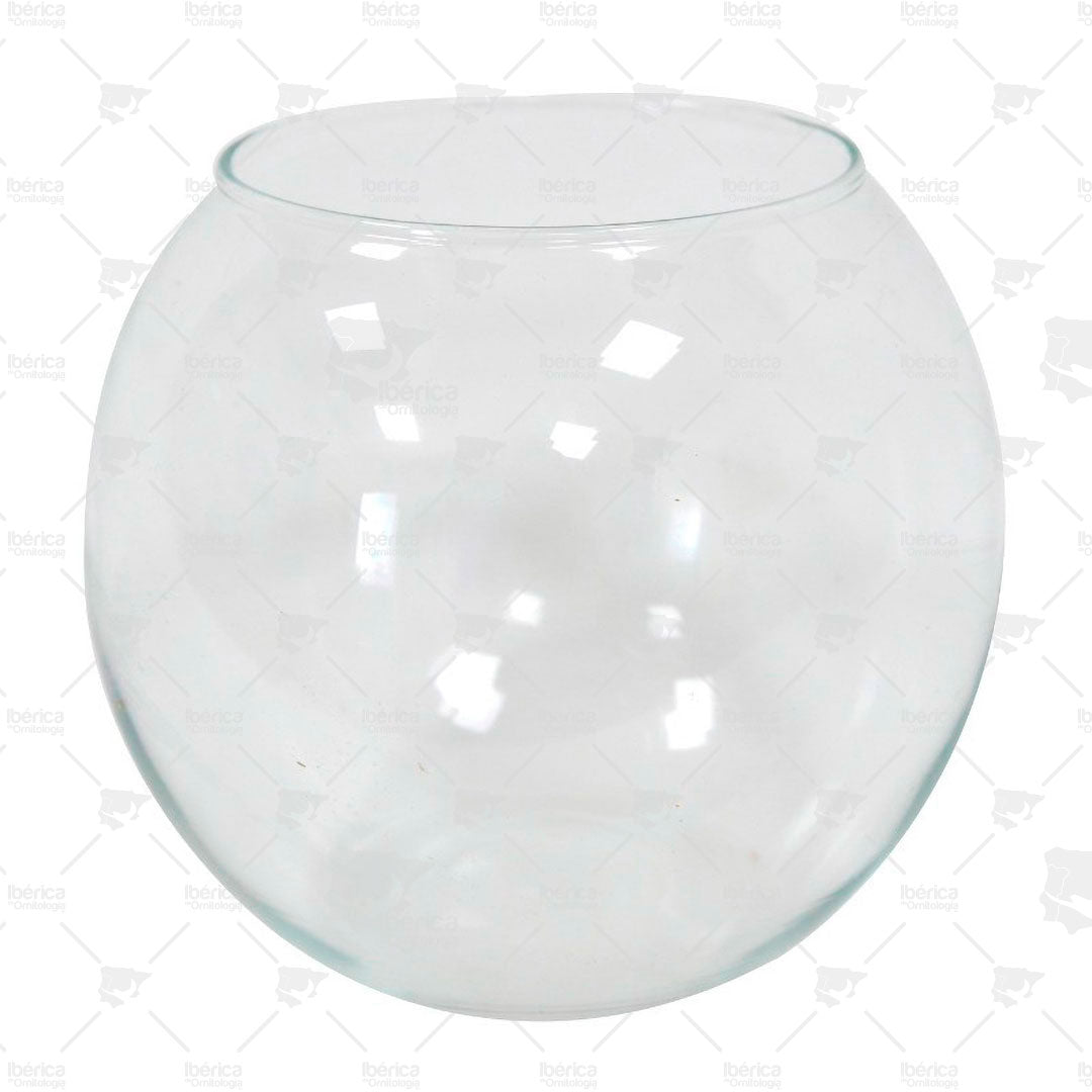 Pecera de vidrio 20 CM ibericadeornitologia