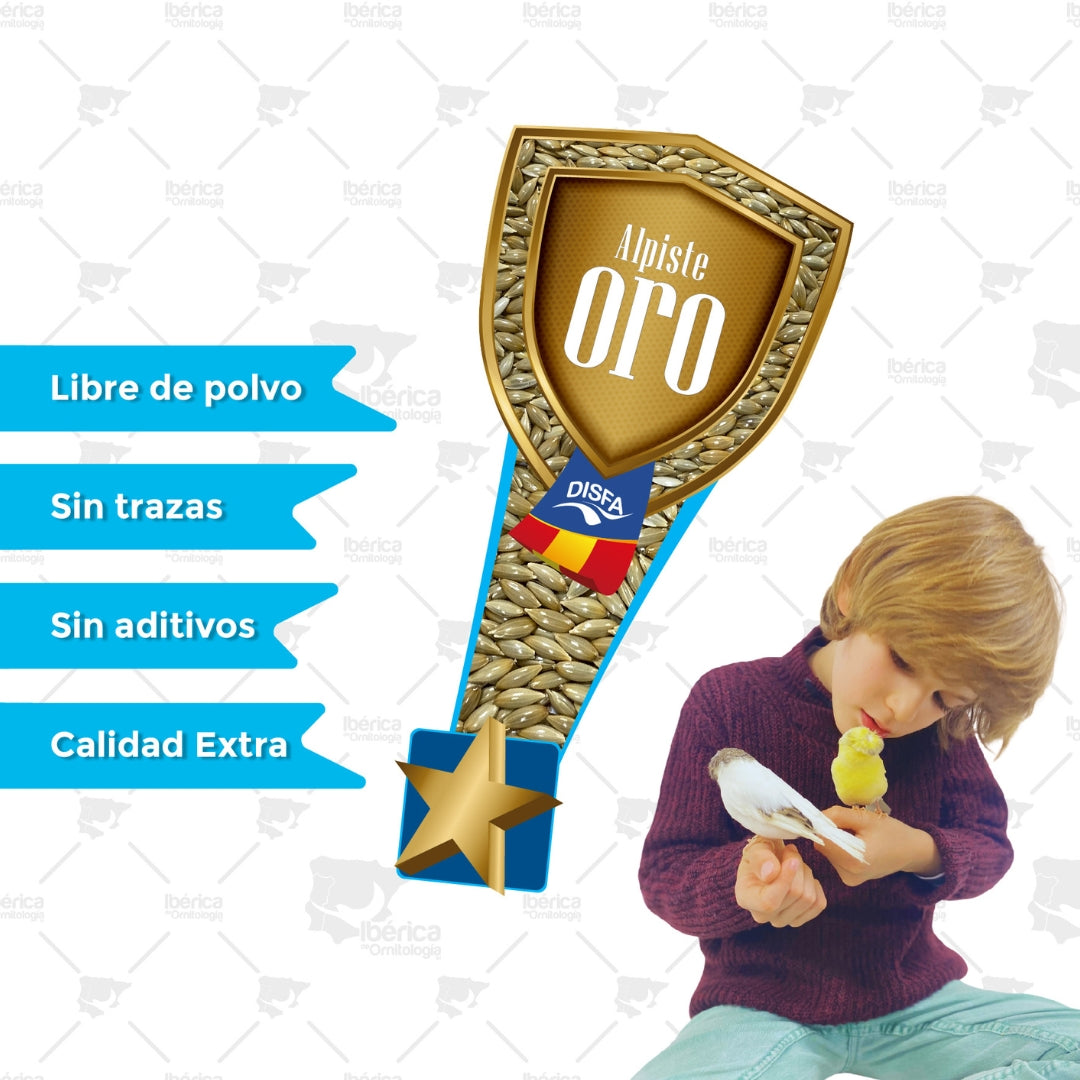 Alpiste oro para pájaros. Calidad Extra ibericadeornitologia