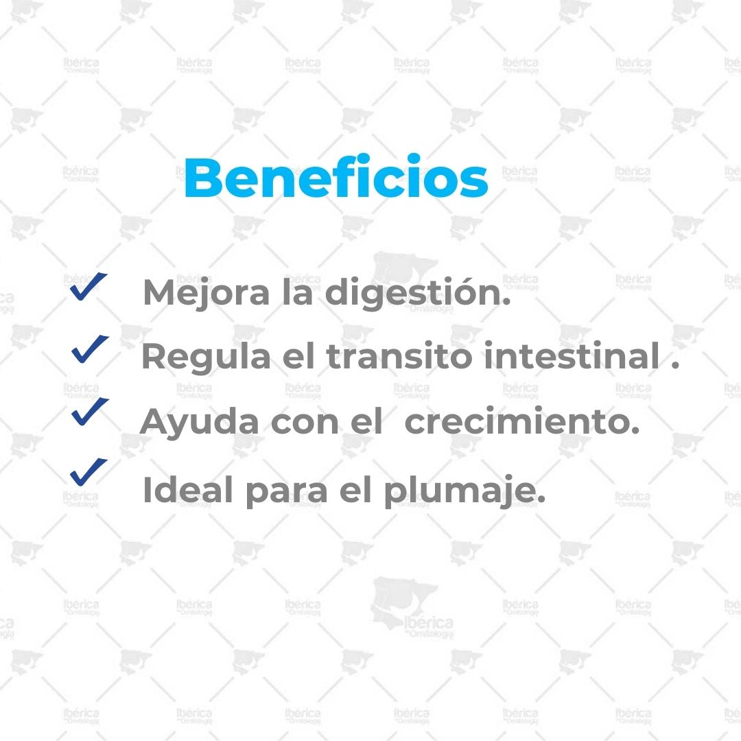Alpiste oro para pájaros. Calidad Extra ibericadeornitologia