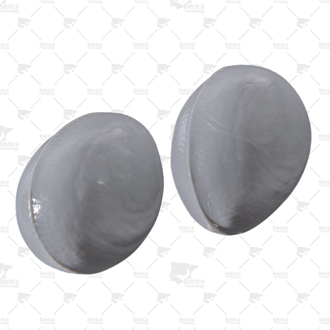 Huevos pequeños Canarios y Periquitos LISA: Para sustituir los huevos verdaderos durante la nidada. ibericadeornitologia