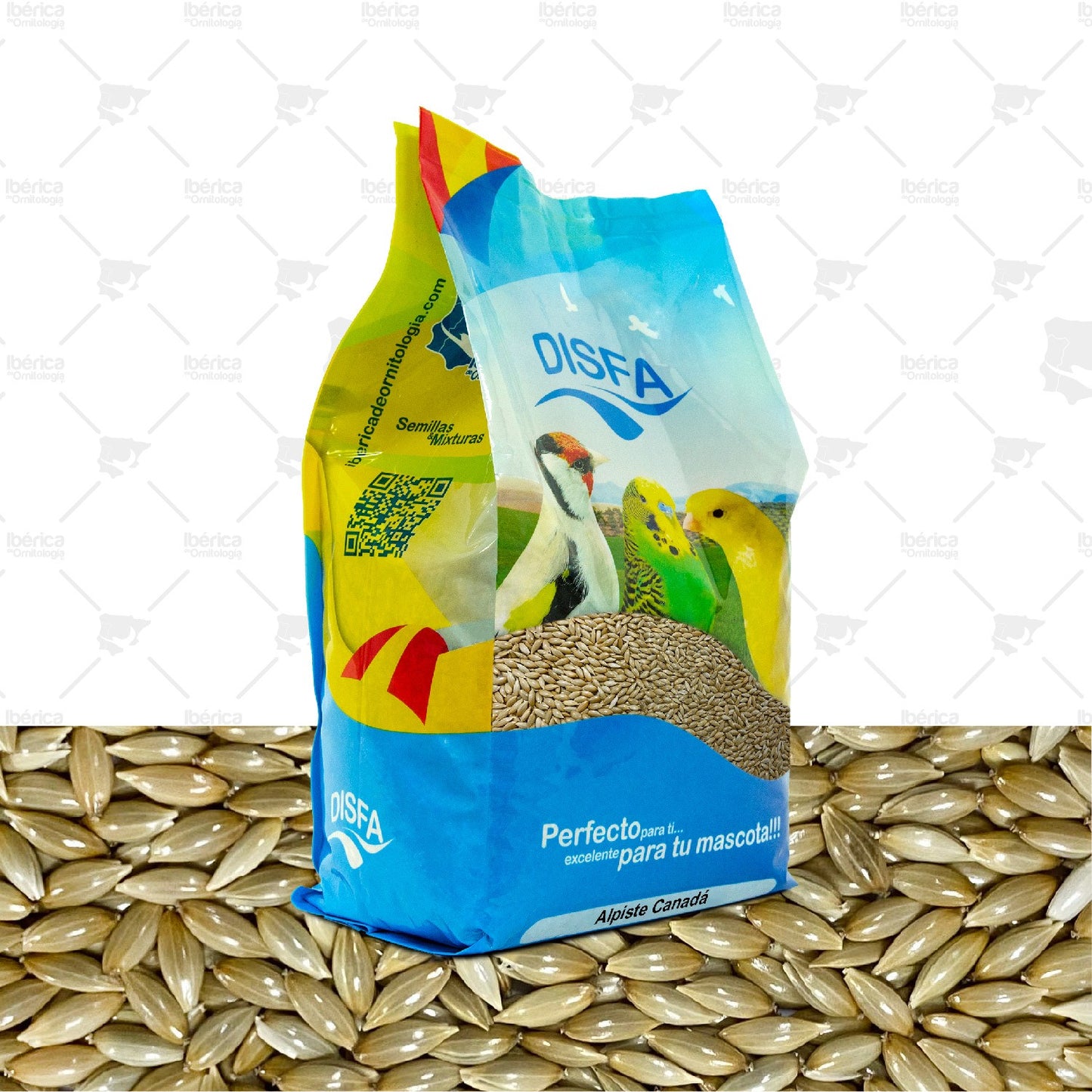 Alpiste (Disfa) alimento base para pájaros ibericadeornitologia