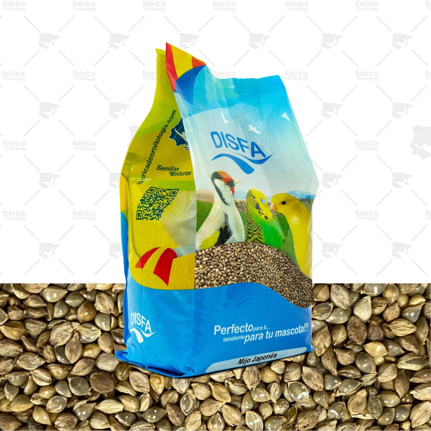 Mijo Japonés (Disfa) : Alimento de gran valor nutricional para complementar la dieta de aves granívoras. ibericadeornitologia