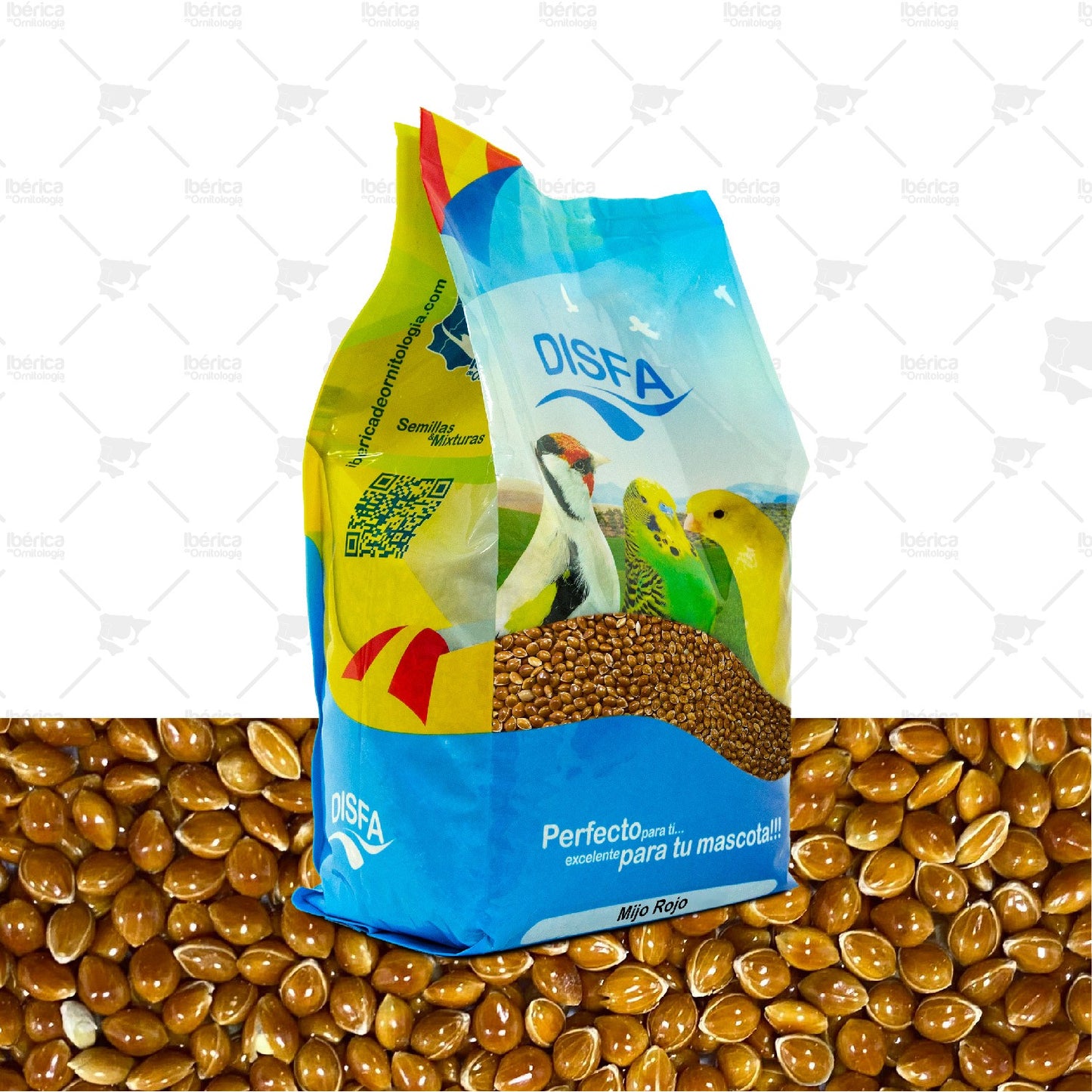 Mijo Rojo (Disfa): Alimento de alto valor nutricional indicado para la cría de aves granívoras ibericadeornitologia