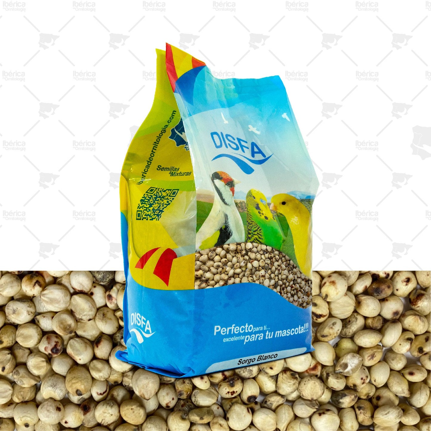 Sorgo Blanco (Disfa), semilla muy energética rica en carbohidratos, fibra, oligoelementos y antioxidantes ibericadeornitologia