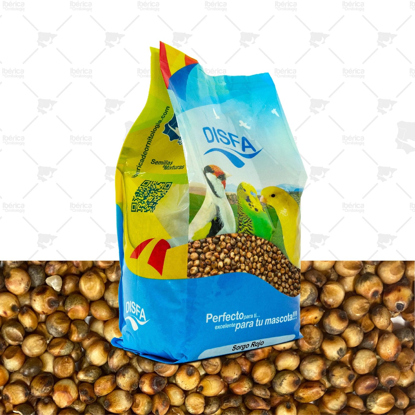 Sorgo Rojo (Disfa), semilla altamente energética rica en carbohidratos, fibra, hierro, zinc y antioxidantes ibericadeornitologia