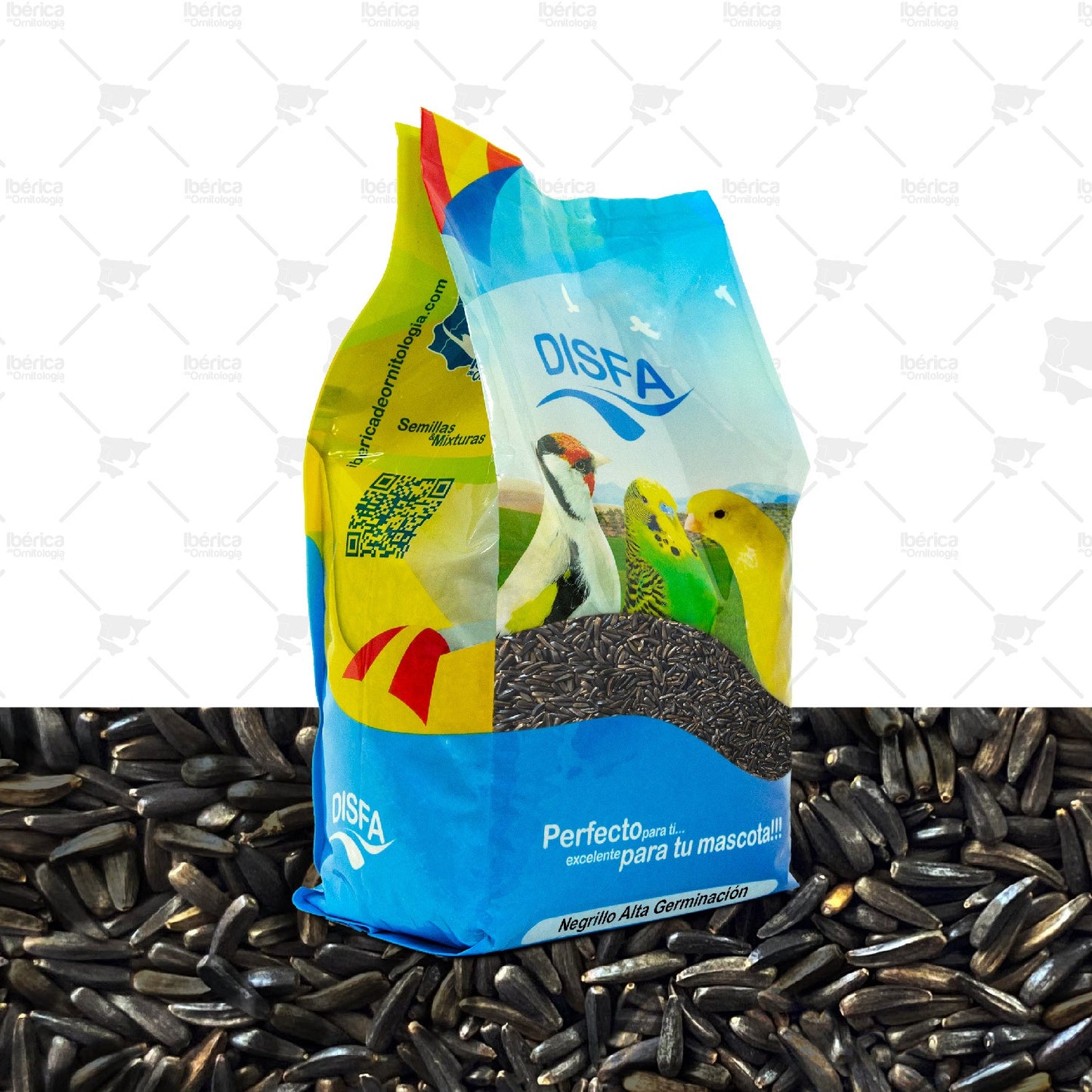 Negrillo alta Germinación (Disfa): Alimento nutritivo para pájaros con efecto excitante del celo ibericadeornitologia
