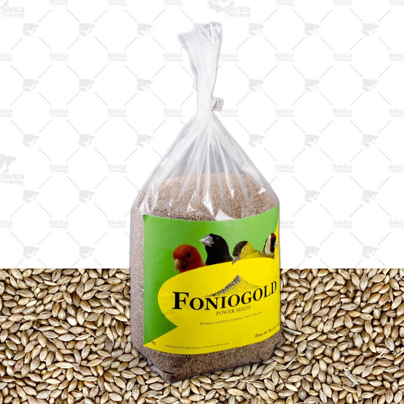 Fonio Gold (Ibérica de Ornitologia) 1 Kgs: Semillas complementarias que combaten la coccidiosis en aves ibericadeornitologia