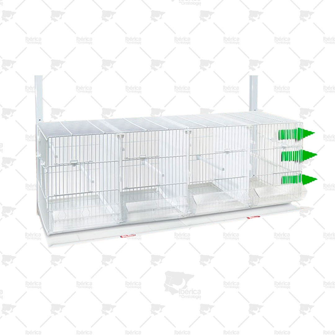 Jaula cría de Metro Sistema de Papel "abierto lateral derecho" Blanca Pedros ibericadeornitologia