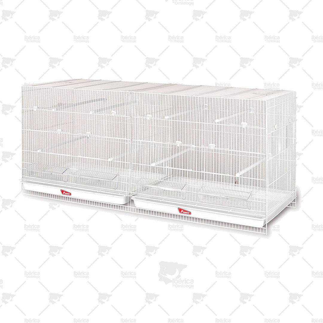 Jaula Voladera Pedros: Jaula voladera ideal para que los pájaros tengan mas espacio de vuelo ibericadeornitologia