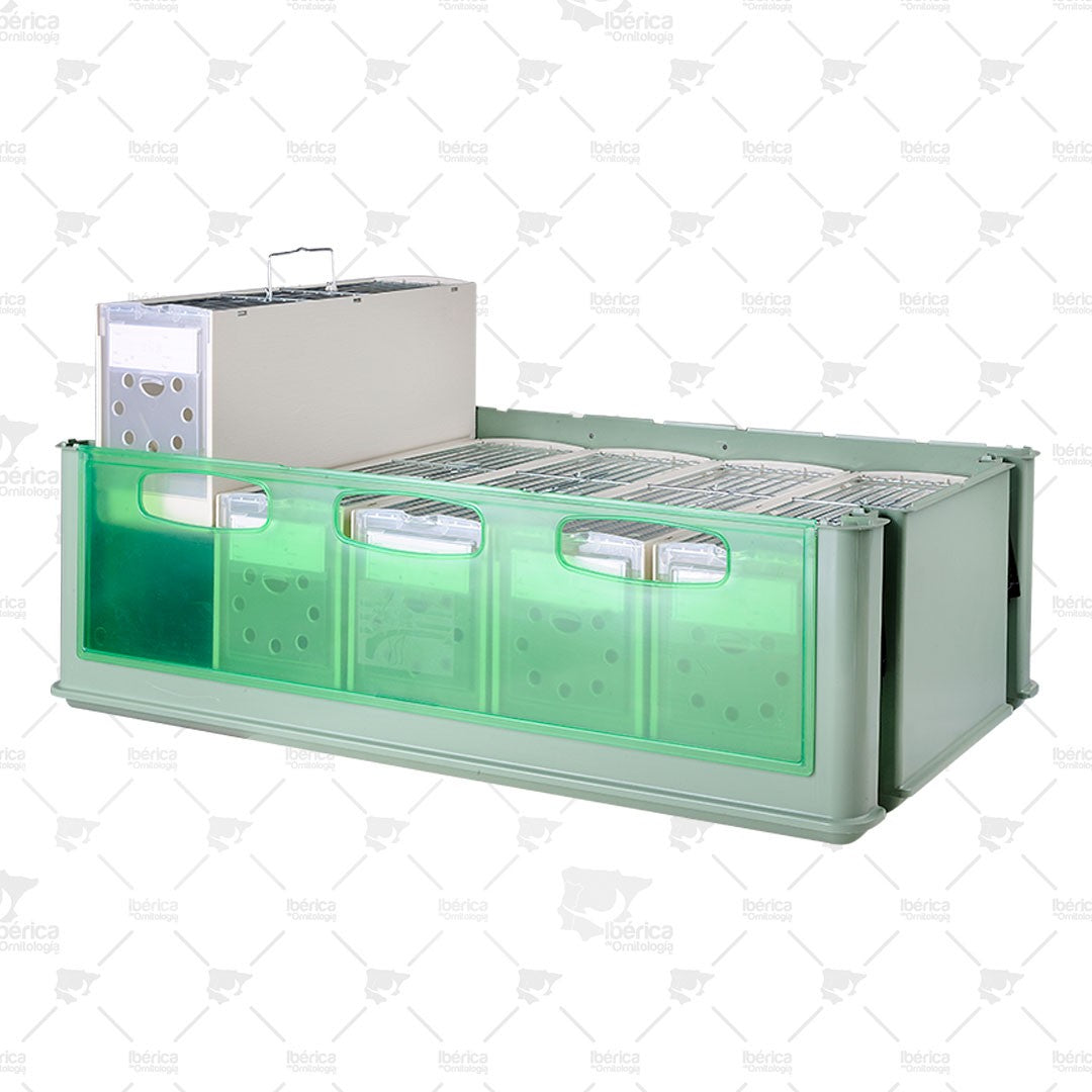 Transportín 5 Secondino Maxi Art. 245 2GR: Para un traslado seguro de tus pájaros. ibericadeornitologia