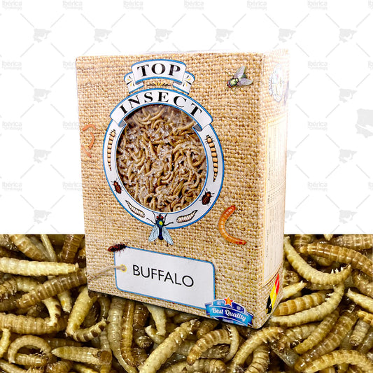 Buffalos Congelados para pájaros (Top Insect) : gusanos para potenciar la dieta de aves ibericadeornitologia
