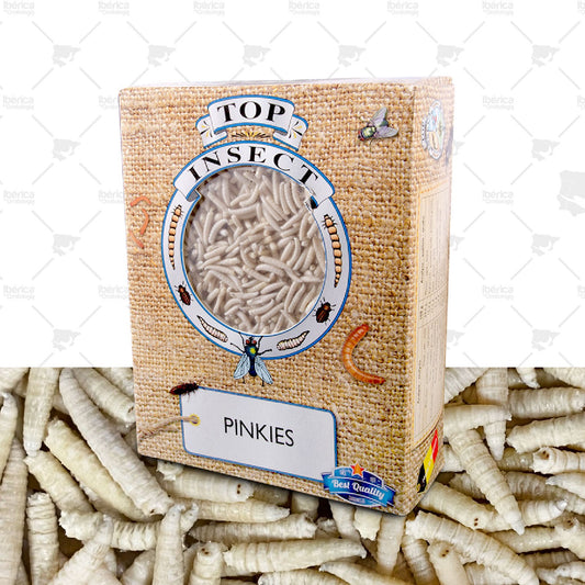Pinkies Congelados para pájaros (Top Insect) : proteínas esenciales para potenciar la cría de aves durante todo el año. ibericadeornitologia