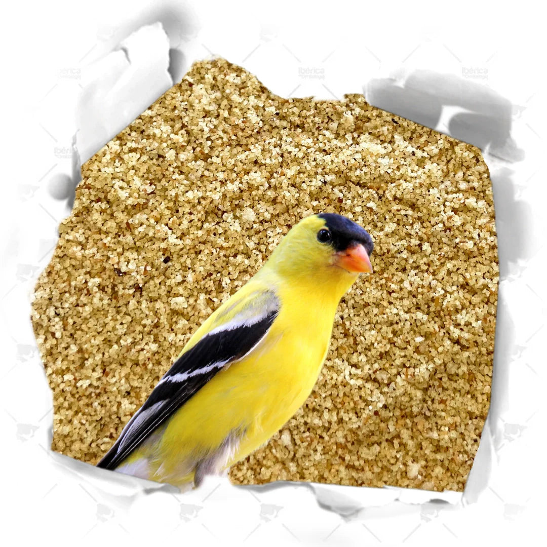 Importancia del Pienso de Muda y Mantenimiento para Pájaros Raggio di Sole Durante la Muda