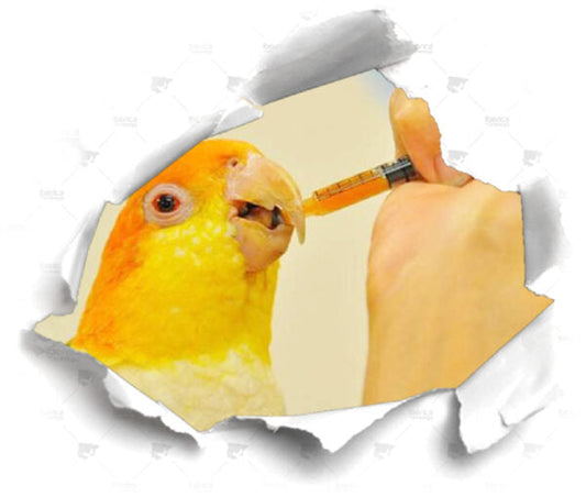 Suplementos vitamínicos para pájaros que evitan carencias nutricionales cuando se crían aves en cautividad.