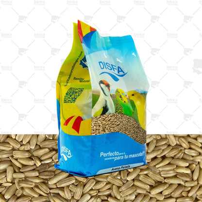 Avena pelada para pájaros (Disfa) , cereal complementario para aves rica en carbohidratos y grasas para mejora del plumaje y reproducción ibericadeornitologia