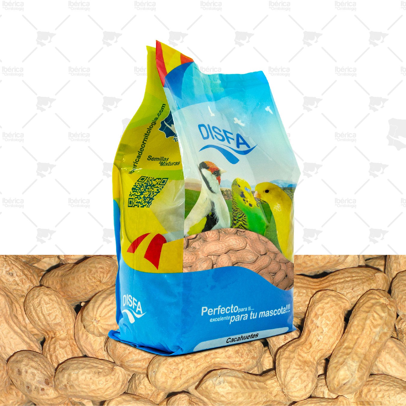 Cacahuetes (Disfa), fruto seco de alto valor energético para aves Psitácidas ideal para épocas invernales. ibericadeornitologia