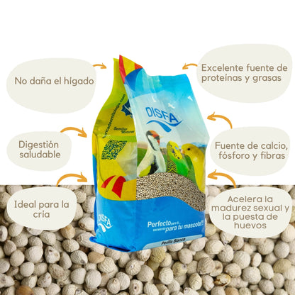 Perilla (Disfa): Alimento complementar para todos os tipos de aves granívoras