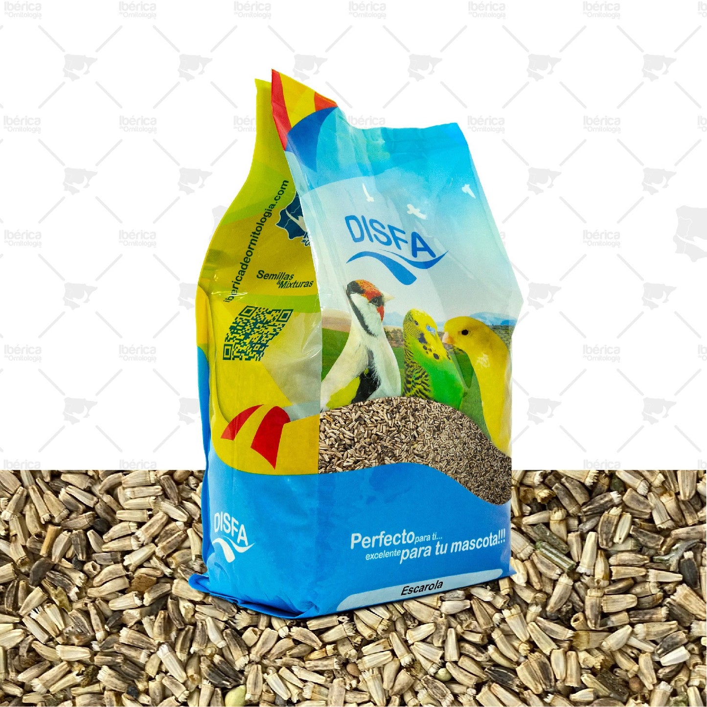 Escarola (Disfa), semillas complementarias para suplementar la dieta de aves ibericadeornitologia