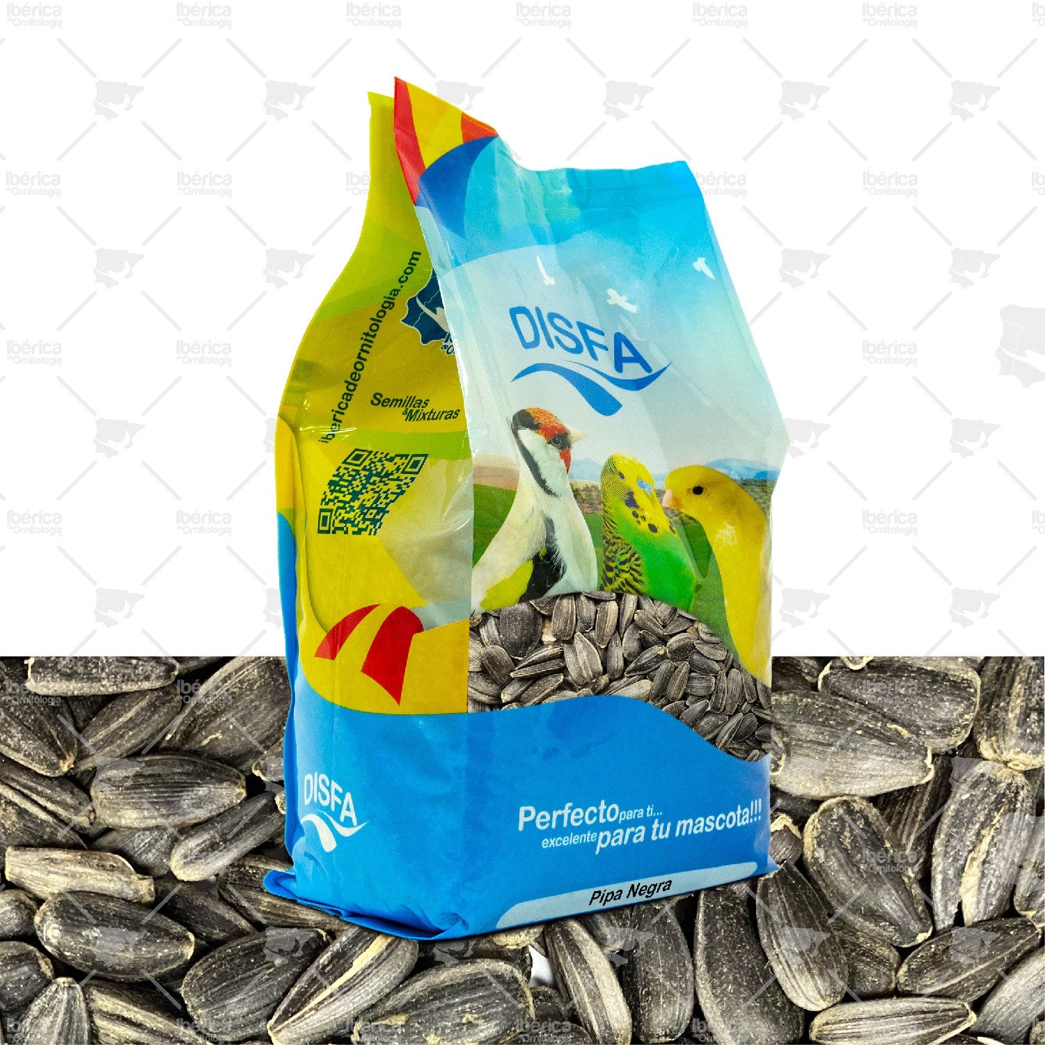 Pipa Negra (Disfa) : Semillas ricas en grasas y vitaminas para pájaros de pico grueso como verdejos, pinzones y aves exóticas. ibericadeornitologia