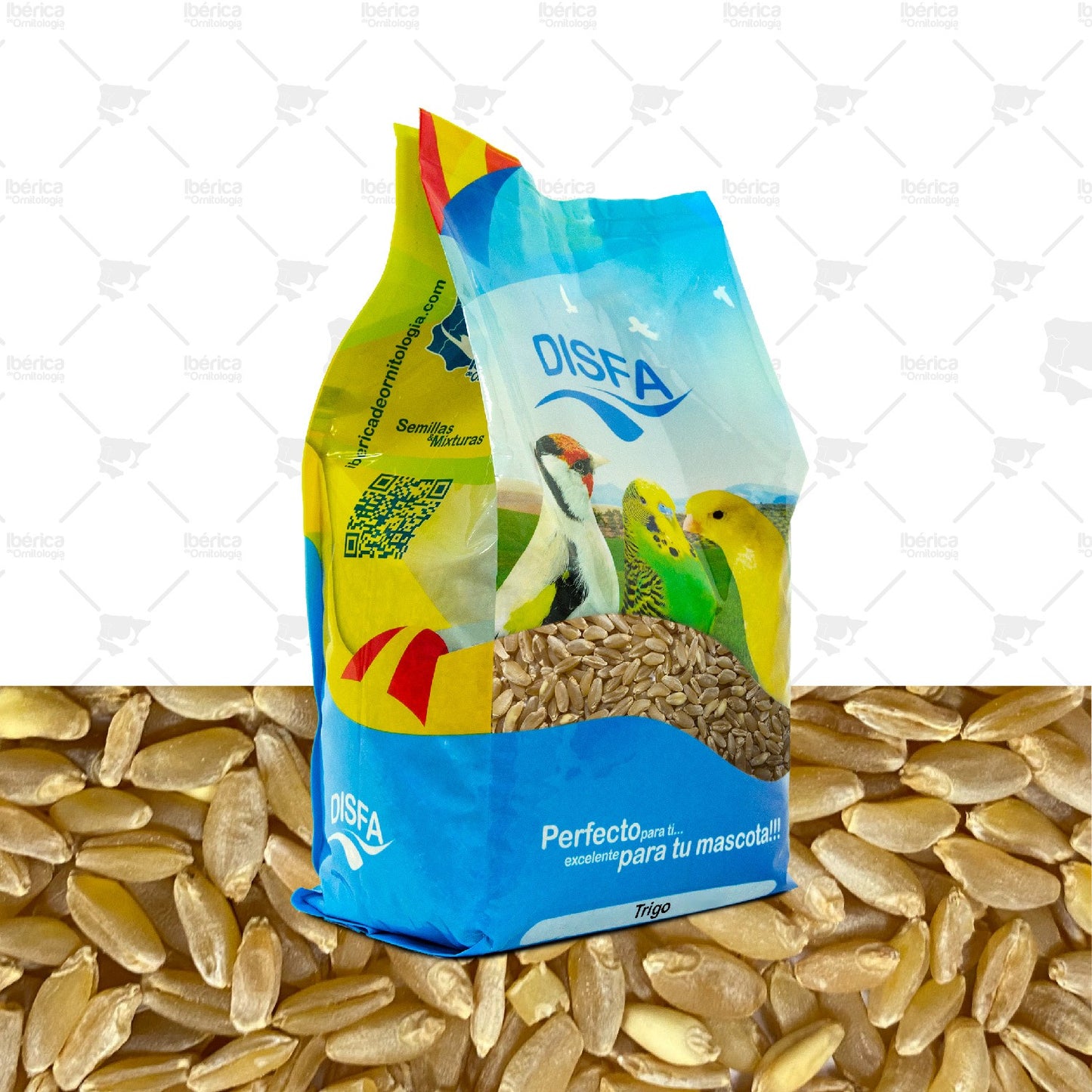 Trigo (Disfa), alimento para la cría de pájaros rico en carbohidratos, grasas saludables y vitaminas ibericadeornitologia