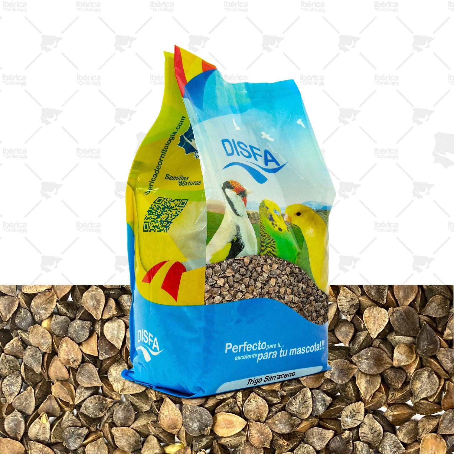 Trigo Sarraceno (Disfa), semillas para cría de aves rica en carbohidratos, grasas de calidad, proteínas y vitaminas ibericadeornitologia
